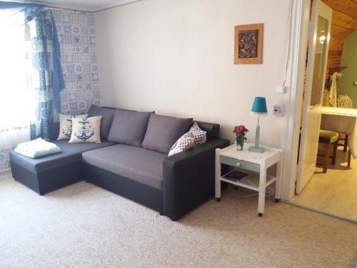 Viljandi Paadimehe Apartment in Vaibla