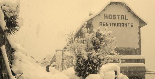 Hostal Restaurante Asador Pañart - Accommodation - Bielsa