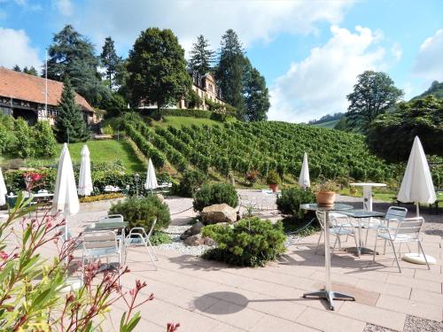 外部景觀, Wein Lodge Durbach - Schlossblick in 杜爾巴赫