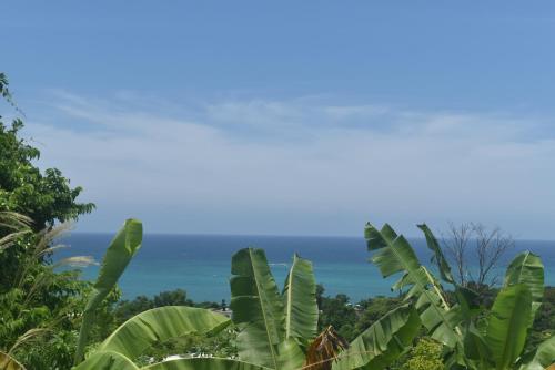 Apkārtne, Haven View Villa & Spa in Belmont