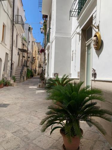 fiori catene tra le torri 3