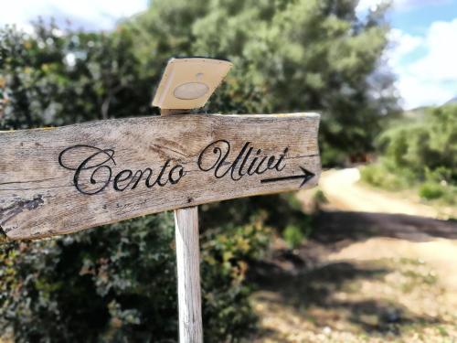 Cento Ulivi B&B