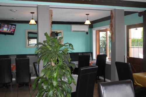 مطعم, Tiki Shores Inn & Suites in Penticton City Center
