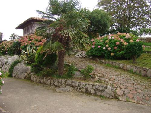 Jardín, Pension Mariaje in Llanes