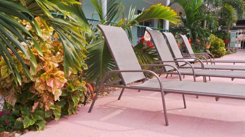 Island House Resort Hotel - 수영장