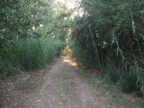 Villa Loddo 1 P 3 Min Dal Mare. Sconto Host - image 8