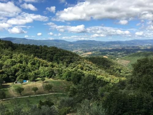 la Casetta Nel Bosco Feel the nature - image 13