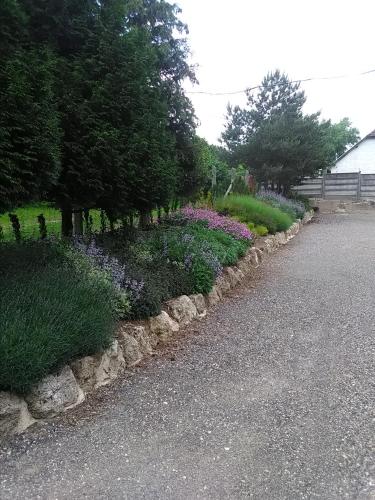  Muskátli Munkásszállás in Tatabánya