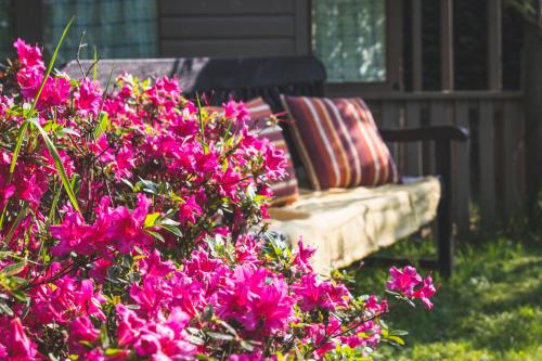 River Mansion Spa chambre d'hôte Llanpumsaint