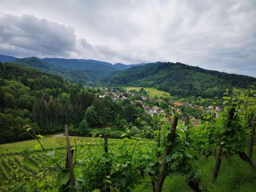 Casa Luna 2.2km von Sulzberg entfernt