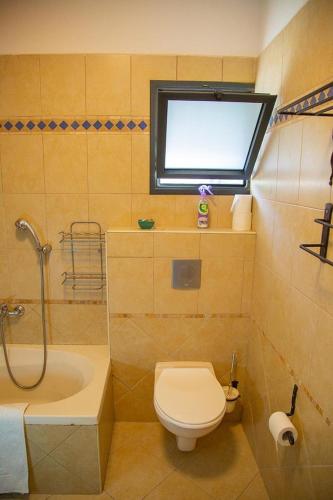 Efroni Villa Guesthouse photo