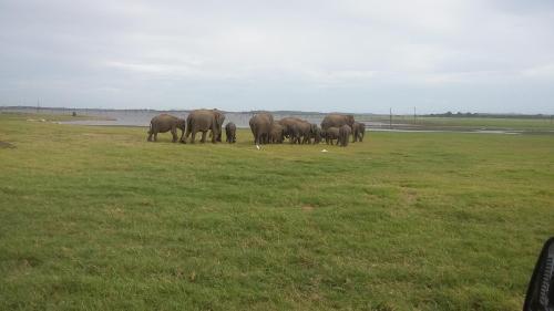 Lak Nilla Guest House