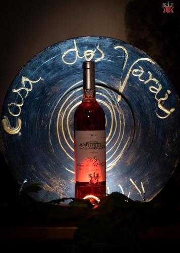 Casa Dos Varais Manor House - image 11