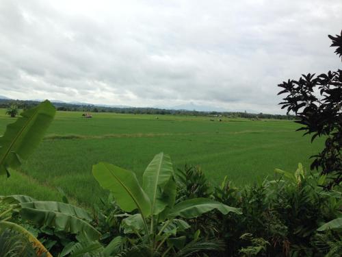 โพธิ์ทองริมทุ่ง Pothong Rimtung Hotel