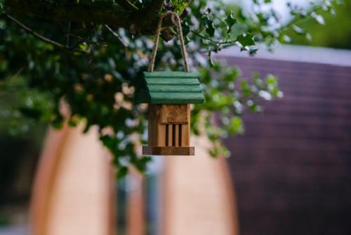 Farmyard Lane Glamping