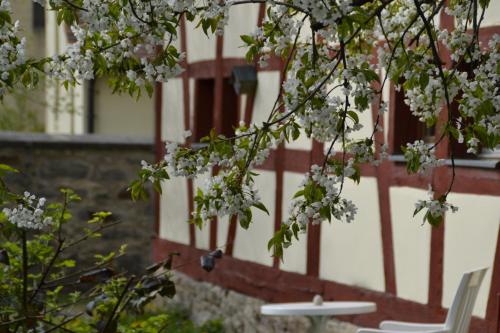 A szálláshely kívülről, Romantisches Bed&Breakfast Apfelstern in Wörnitz