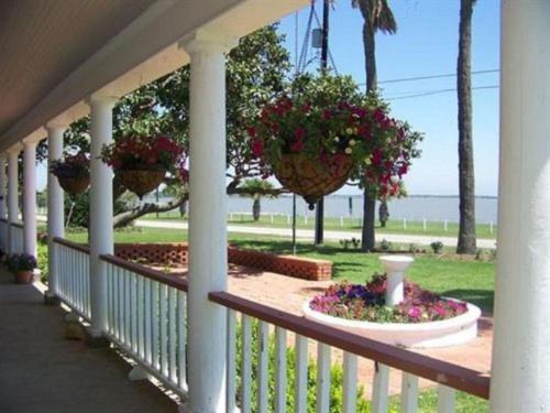 Skats, THE PEACEFUL PELICAN - BED AND BREAKFAST in Palasiosa (TX)