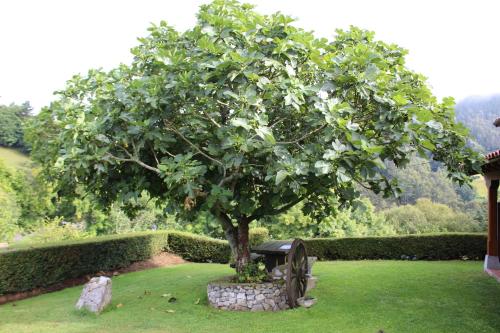 La Quintana Sinariega gîte à louer Cayarga