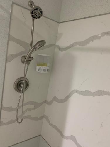 Everglades City Motel - Everglades Adventures Inn - image 4