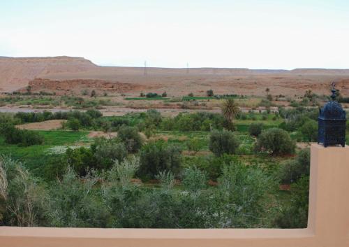 L'oasis Du Bonheur