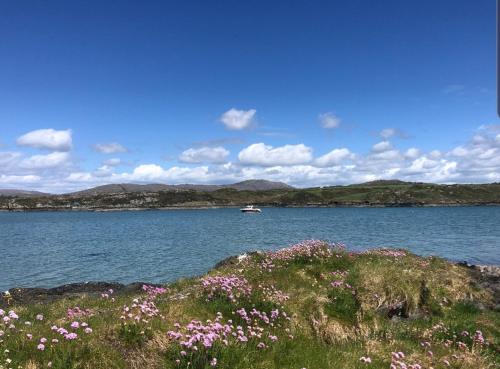 Gunpoint Lodge, Schull, West Cork with Private Pier