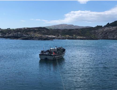 Gunpoint Lodge, Schull, West Cork with Private Pier