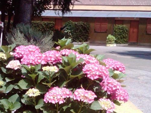 Hotel Motel Ovest – Vittuone, DC