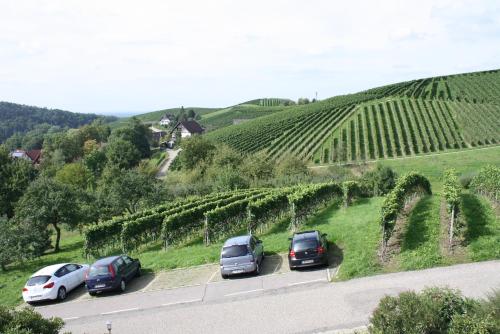 Pension am Weinberg