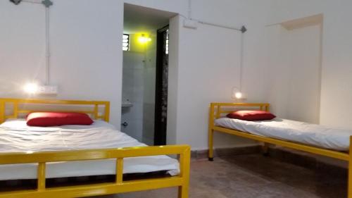 Beds & Boys Hostel