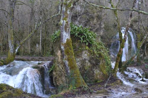 Les Divines Cascades in Roquefixade