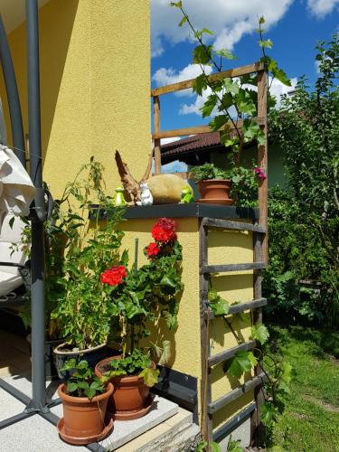 Appartement Königslehen - image 12