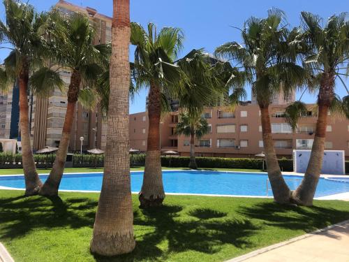  Playa Valencia Residencial Sol y Mar Terraza con Vistas y Parking in Puebla de Farnals