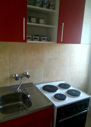 Apartmani Centar Banja Vrujci - main image