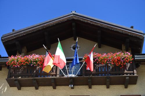 Hotel Alpina - image 7