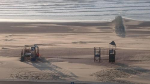  Studio apartment ´De Strandwandeling´ with frontal sea view near Ostend in Ostende