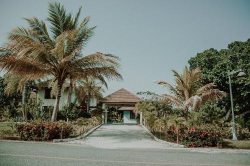 

Laguna #1