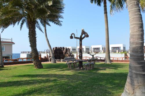 Al Murjan Beach Resort - image 2