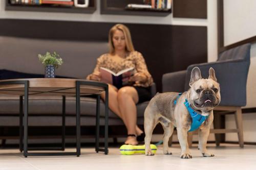 Hyatt Place Virginia Beach Town Center - image 9