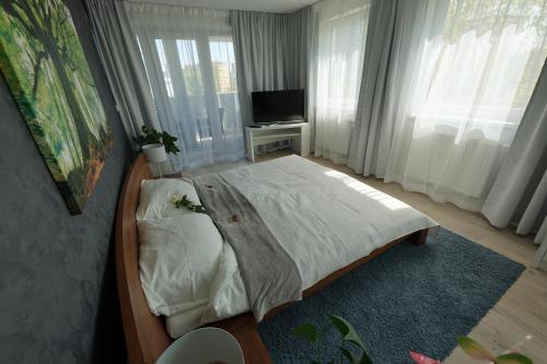 Business Double Room with Gym Access