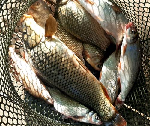 Guest House on Lesnaya - image 12