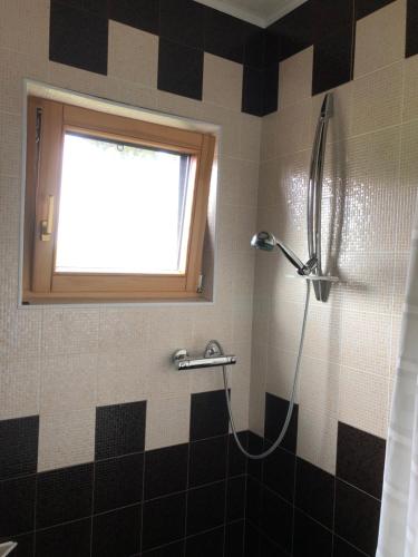 Vannas istaba, Paukoje Apartamentai in Ignalina