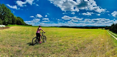 Ferienwohnung-direkt-am-skihang - image 9