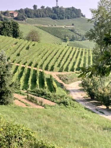 La magia delle Langhe appartamenti con vista