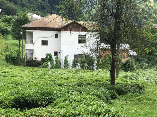  Yurtseven pansiyon in Yaylaköy