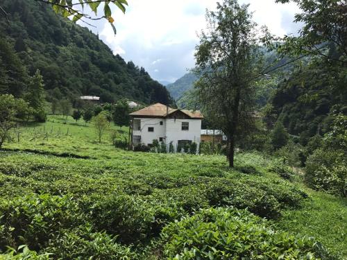  Yurtseven pansiyon in Yaylaköy