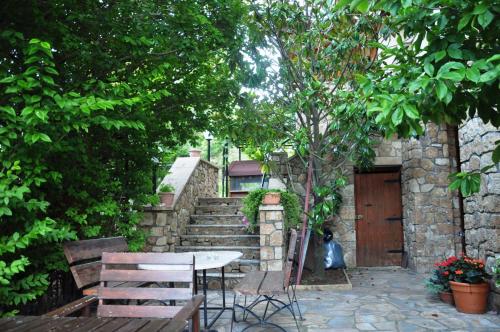  anemelia in Poligiros