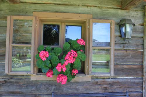 Haus Alexander Liezen Price Address Reviews