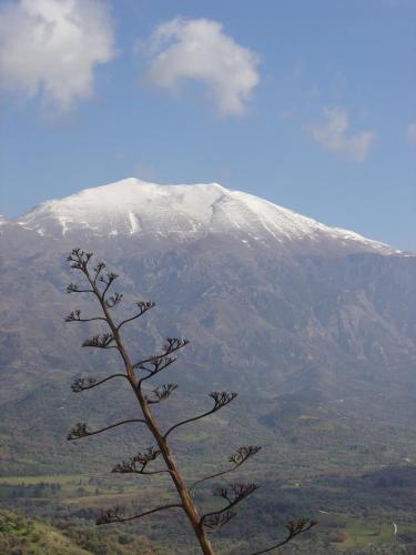 Kouriton House in Margarítai
