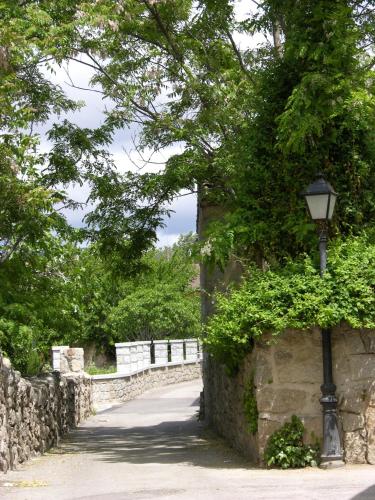 Apartamento Rural Albus Albi - image 4