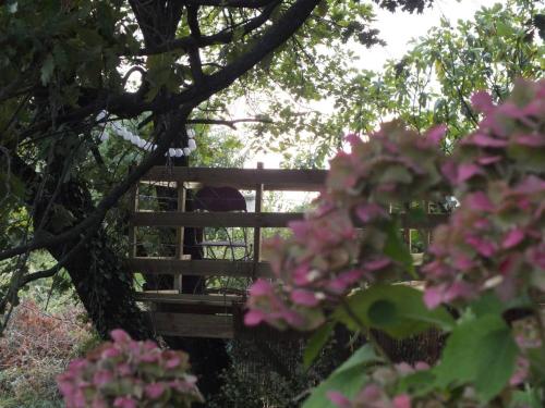 Tiny dans la verdure et au calme